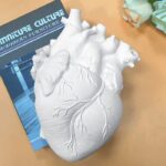 Vase en forme de coeur humain 2