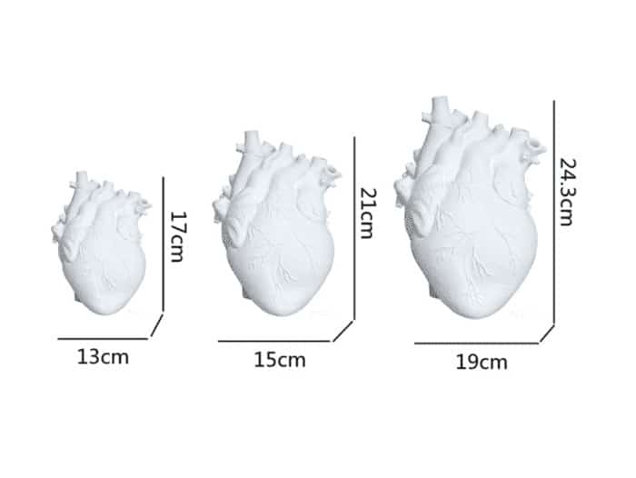 Vase en forme de coeur humain tailles